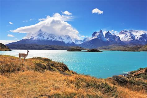 patagónia chilena